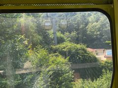 -黔灵山公园