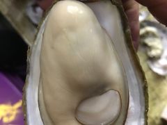 -土蚝·高压锅生蚝(百姓美食街店)