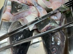 -秦巴石锅鱼(文化南路店)