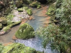 -武隆天坑地缝国家地质公园