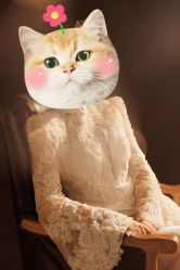 -CD视觉婚纱摄影