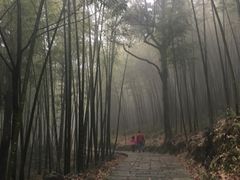 -广州市石门国家森林公园