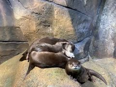 -波塞冬旅游度假区