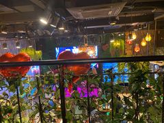 -老五烧烤(盘金华府总店)