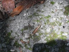 -东天目山风景区