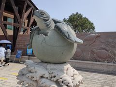 -广东惠东海龟国家级自然保护区
