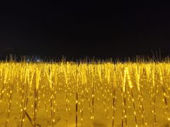 -人民防洪胜利纪念塔