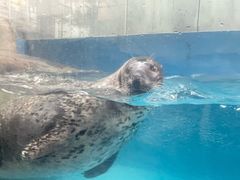 -成都浩海立方海洋公园