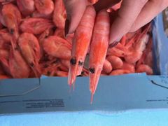 籽虾-海贡平价海鲜超市