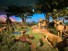 -国家自然博物馆