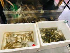 水产区-阿杰臻选海鲜饭店(普陀山店)