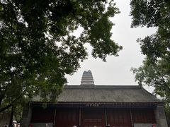 -西安博物院