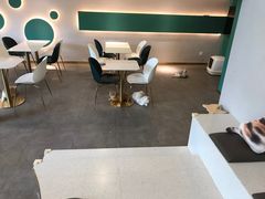 -飞行喵MR PILOT|猫舍·猫咖(静安大融城店)