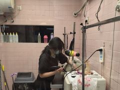 -FAELING PETS美天灵宠物(富力广场店)