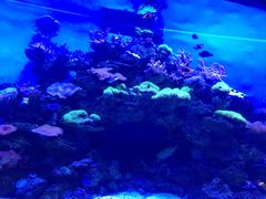 -多彩贵州城极地海洋世界