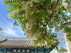 -北京石刻艺术博物馆(五塔寺)