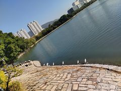 -白鹭洲公园