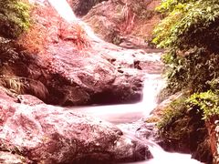 -马峦山郊野公园