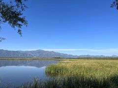 -野鸭湖国家湿地公园