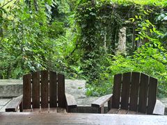 -广西壮族自治区药用植物园