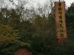 -杭州黄龙洞