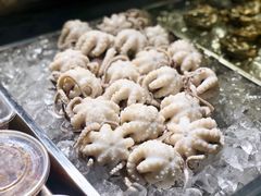 -铭聚章鱼土笋冻(松柏店)