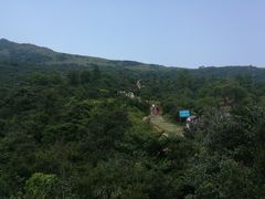 -大姆山草场