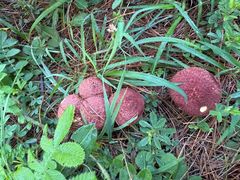 -奇迹健身(SM广场店)