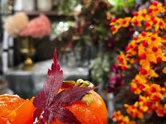 -卷心卷意·轻甜蛋糕(新光天地店)