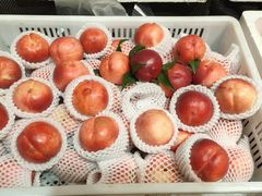 -T11生鲜超市(朝阳公园店)
