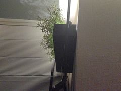 -华夏良子·足道SPA艾灸(王府井店)