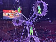 -俄罗斯国家大马戏团