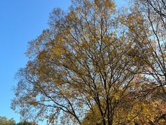 -胜华驾校·小猫学车(银都店)