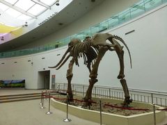 -陕西自然博物馆