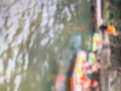 -将军关探险漂流