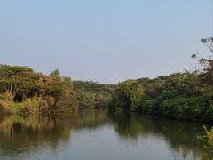 -大湾区中央湿地公园