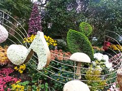 -杭州植物园