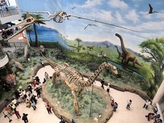 -辽宁古生物博物馆