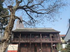 -上海醉白池公园