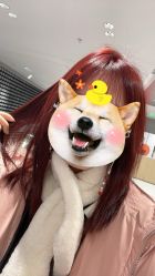 -镁连社·美联社