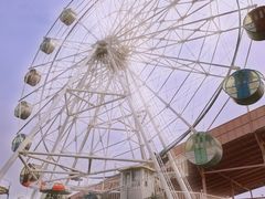 -广东花都香草世界旅游度假区