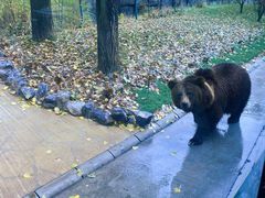 -北京野生动物园
