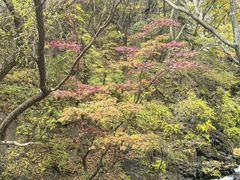 -灵山