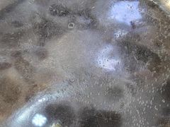 -清之口·东乡鸡自助饺子(经二路店)