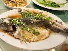 -罗浮山葛仙居菜馆