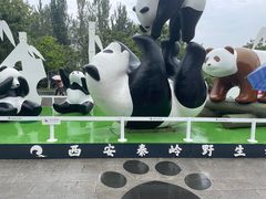 -西安秦岭野生动物园