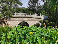 -莲湖公园