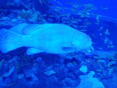 -成都浩海立方海洋公园