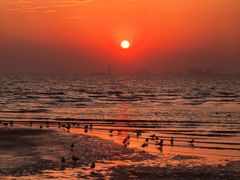 -老虎石海上公园