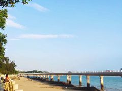 -猫咪博物馆(顶澳仔猫街店)